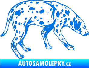 Samolepka Pes 001 pravá Dalmatin modrá oceán