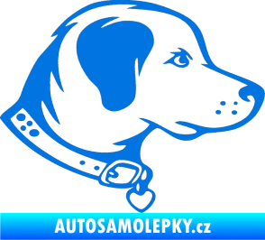 Samolepka Pes 058 pravá modrá oceán