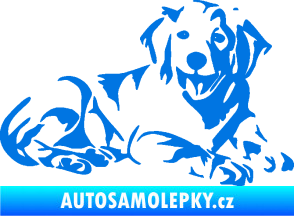 Samolepka Pes 106 pravá Retrívr modrá oceán