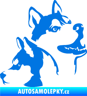 Samolepka Pes 117 pravá husky modrá oceán