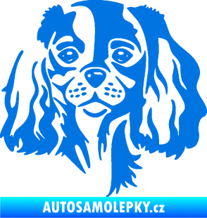 Samolepka Pes 132 pravá Cavalier king Charles spaniel modrá oceán