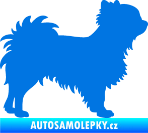 Samolepka Pes 156 pravá čivava modrá oceán