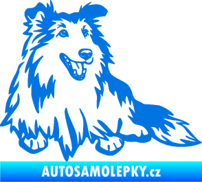 Samolepka Pes 162 pravá sheltie modrá oceán