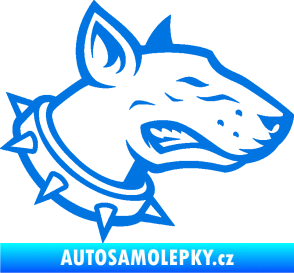 Samolepka Pes 167 pravá pitbull modrá oceán