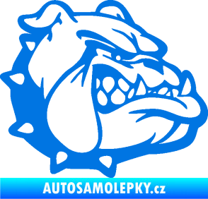Samolepka Pes 174 pravá rozzuřený buldok modrá oceán