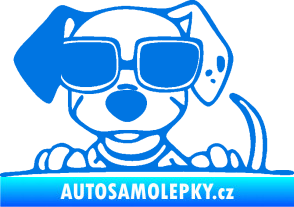Samolepka Pes s brýlemi 101 levá v autě modrá oceán