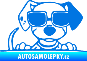 Samolepka Pes s brýlemi 101 pravá v autě modrá oceán