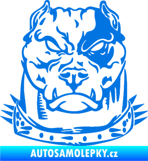 Samolepka Pitbull hlava 005 levá modrá oceán