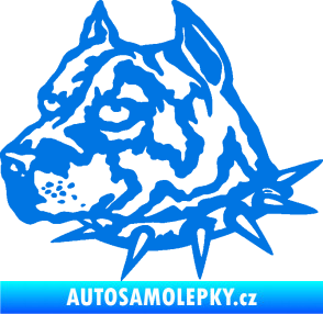 Samolepka Pitbull hlava 006 levá modrá oceán