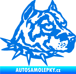 Samolepka Pitbull hlava 006 pravá modrá oceán