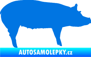 Samolepka Prase 002 pravá modrá oceán