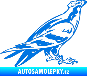 Samolepka Predators 006 pravá modrá oceán