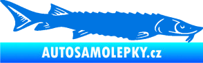 Samolepka Ryba 020 pravá jeseter modrá oceán