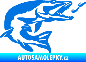 Samolepka Štika 005 pravá s návnadou modrá oceán