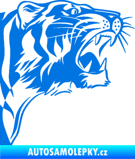 Samolepka Tygr 002 pravá modrá oceán