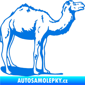 Samolepka Velbloud 001 pravá modrá oceán