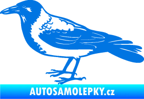 Samolepka Vrána 001 levá modrá oceán