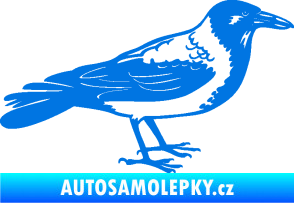 Samolepka Vrána 001 pravá modrá oceán