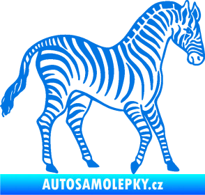 Samolepka Zebra 002 pravá modrá oceán