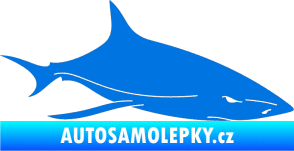 Samolepka Žralok 008 pravá modrá oceán