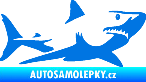 Samolepka Žralok 015 pravá modrá oceán