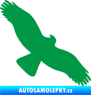 Samolepka Dravec na sklo 001 pravá zelená