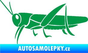 Samolepka Kobylka 002 levá zelená