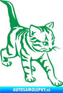 Samolepka Koťátko 004 pravá zelená