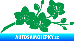 Samolepka Květina dekor 008 pravá orchidej zelená