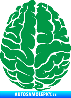 Samolepka Mozek 001 pravá zelená