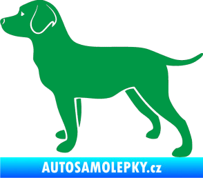 Samolepka Pes 062 levá Labrador zelená
