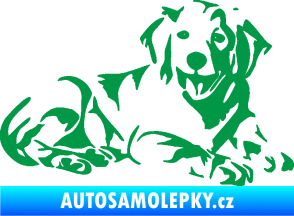Samolepka Pes 106 pravá Retrívr zelená