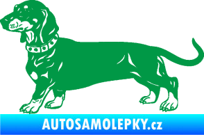 Samolepka Pes 122 levá jezevčík zelená