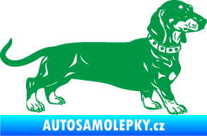 Samolepka Pes 122 pravá jezevčík zelená