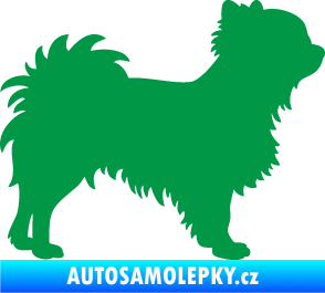 Samolepka Pes 156 pravá čivava zelená