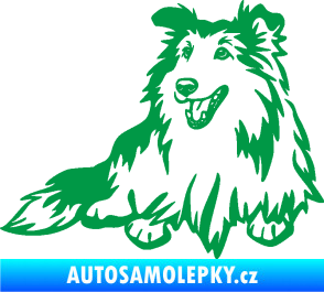 Samolepka Pes 162 levá sheltie zelená