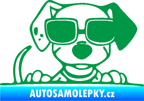 Samolepka Pes s brýlemi 101 pravá v autě zelená