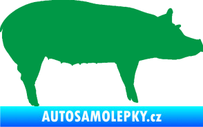 Samolepka Prase 002 pravá zelená