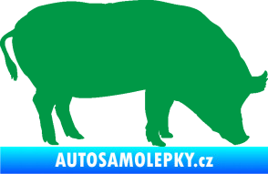 Samolepka Prase 004 pravá zelená