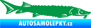 Samolepka Ryba 020 pravá jeseter zelená