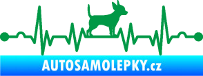 Samolepka Srdeční tep 006 pravá čivava zelená