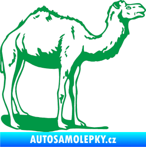 Samolepka Velbloud 001 pravá zelená