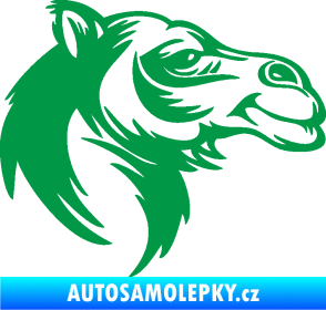 Samolepka Velbloud 004 pravá hlava zelená