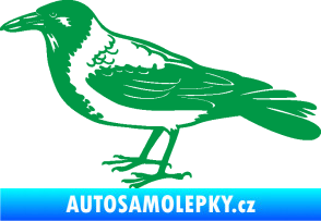 Samolepka Vrána 001 levá zelená