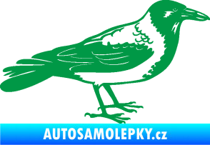 Samolepka Vrána 001 pravá zelená