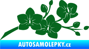 Samolepka Květina dekor 008 pravá orchidej tmavě zelená