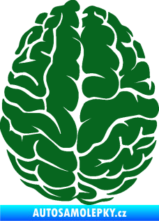 Samolepka Mozek 001 pravá tmavě zelená