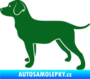 Samolepka Pes 062 levá Labrador tmavě zelená