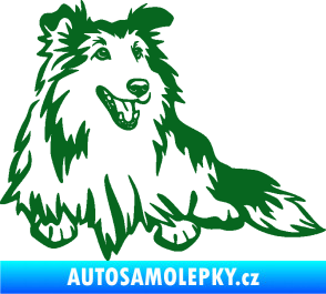 Samolepka Pes 162 pravá sheltie tmavě zelená