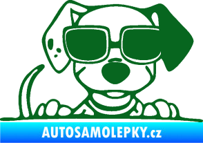 Samolepka Pes s brýlemi 101 pravá v autě tmavě zelená